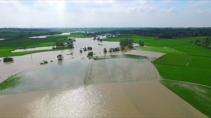 洪水淹没农田淹没道路