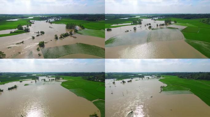 洪水淹没农田淹没道路