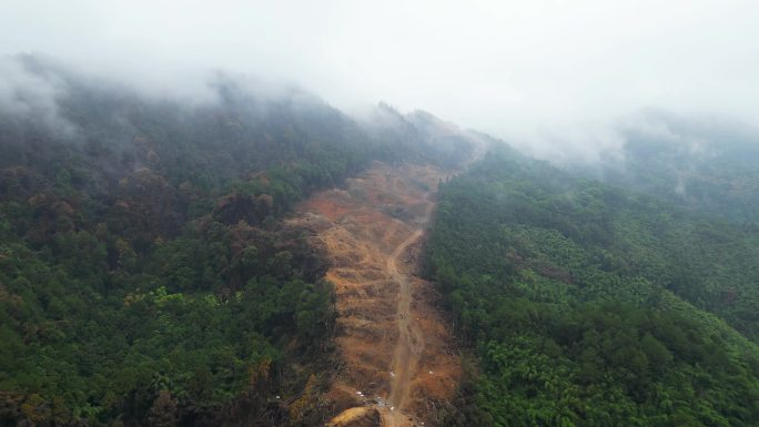 重庆山火后，北碚缙云山降雨，云雾缭绕航拍