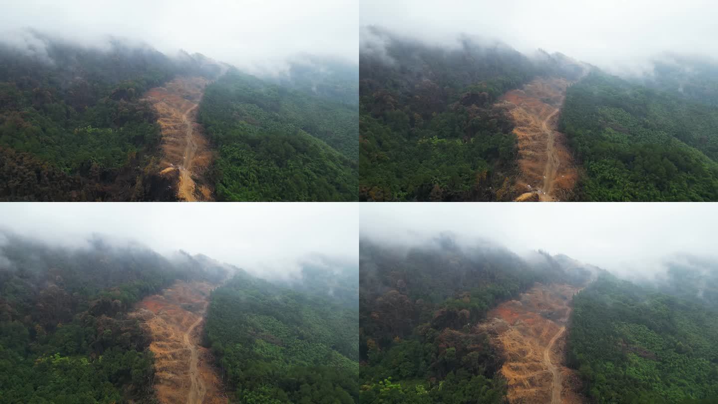 重庆山火后，北碚缙云山降雨，云雾缭绕航拍