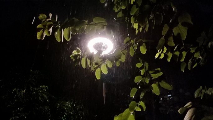 雨洒绿树雨天雷电交加视频素材夜晚路灯雨滴