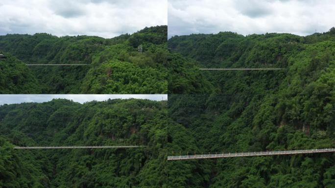 玻璃栈道 川西竹海 森林