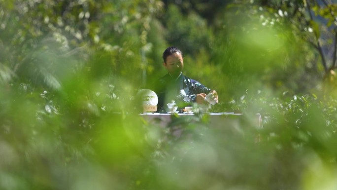 泡茶 喝茶 茶道