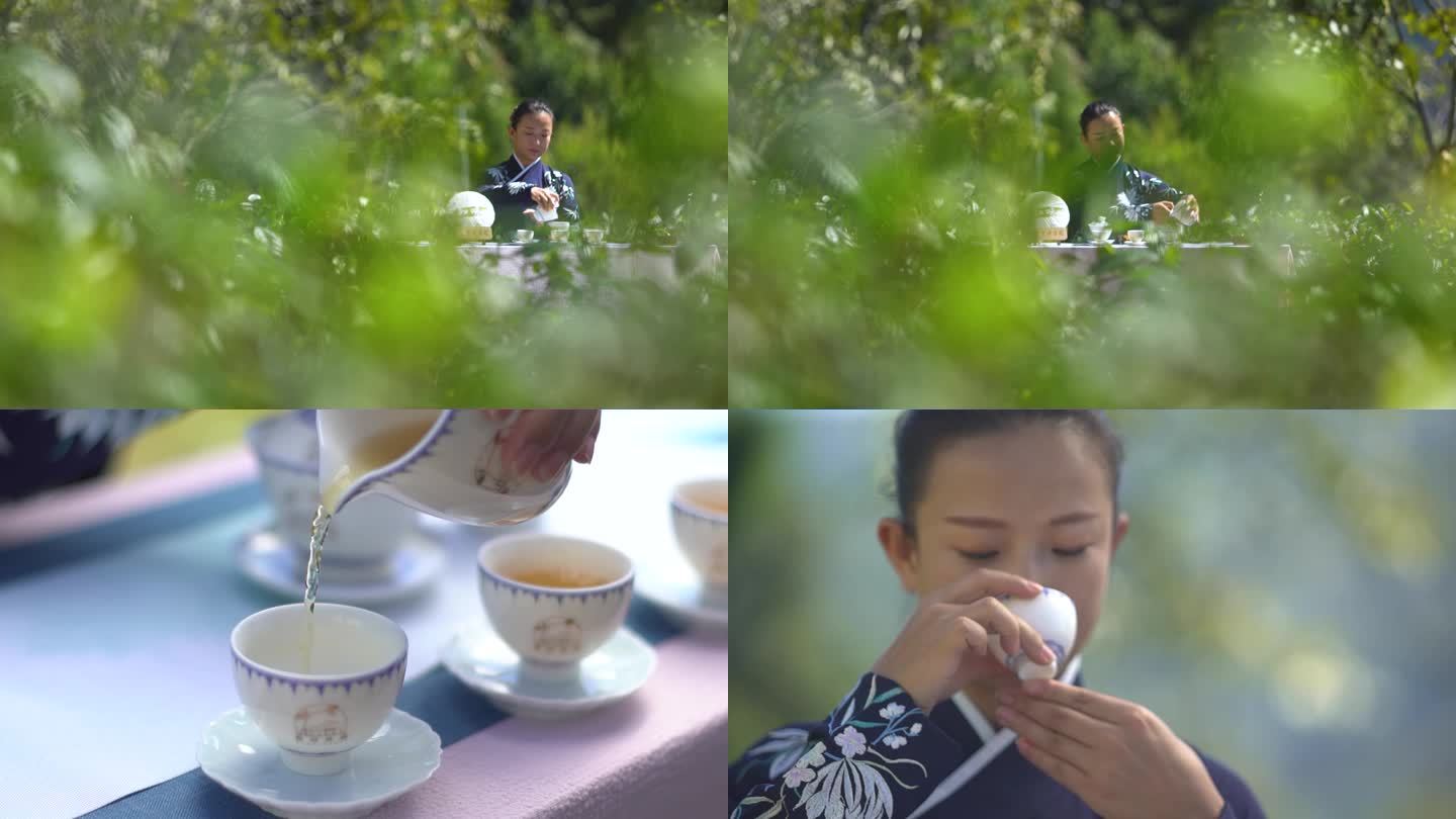 泡茶 喝茶 茶道