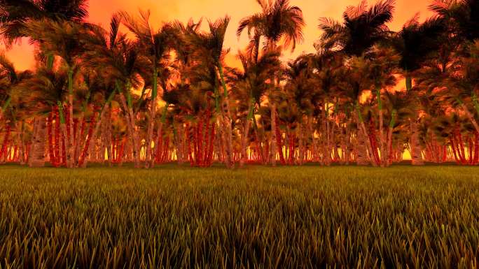 海岛椰树椰风海韵动画