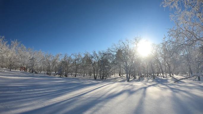 冬日雪景雾凇延时