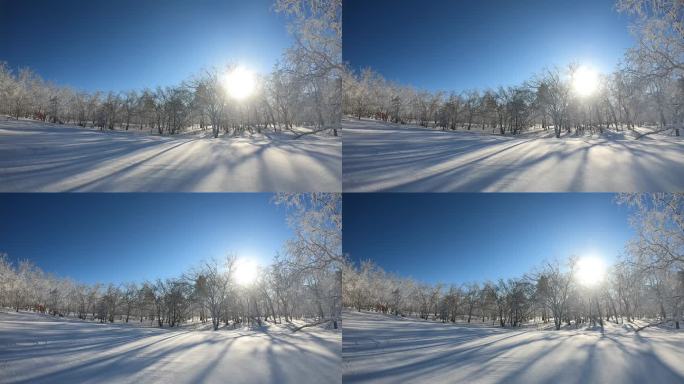 冬日雪景雾凇延时