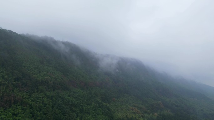 重庆山火后，北碚缙云山云雾缭绕航拍延时