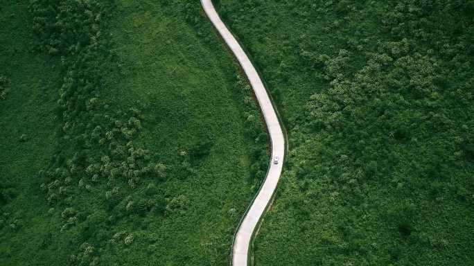 山上的公路