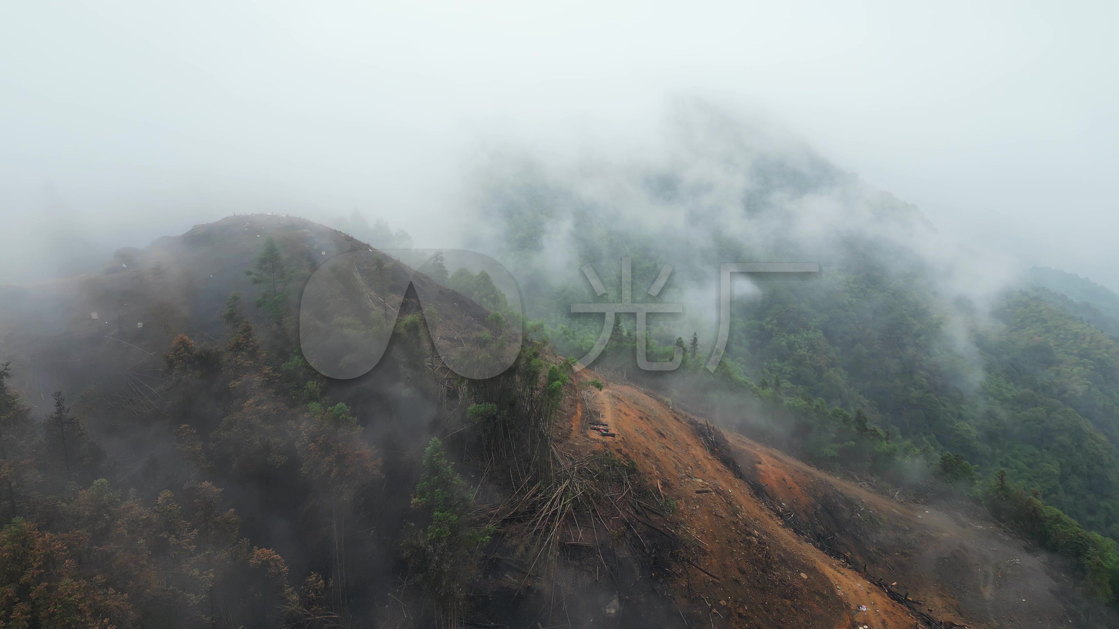 野泉、野山、野草，重庆北碚巡江步道好有趣|重庆市_新浪新闻