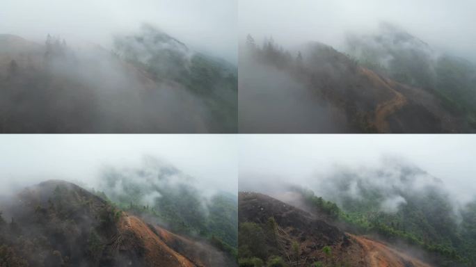 重庆山火后，北碚缙云山降雨，云雾缭绕航拍