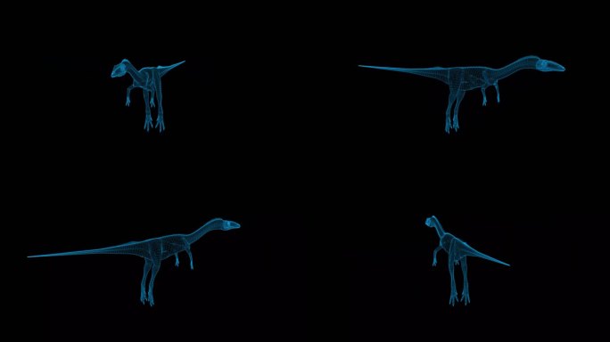 4K蓝色全息科技线框恐龙腔骨龙素材带通道