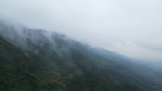 重庆山火后，北碚缙云山降雨，云雾缭绕航拍