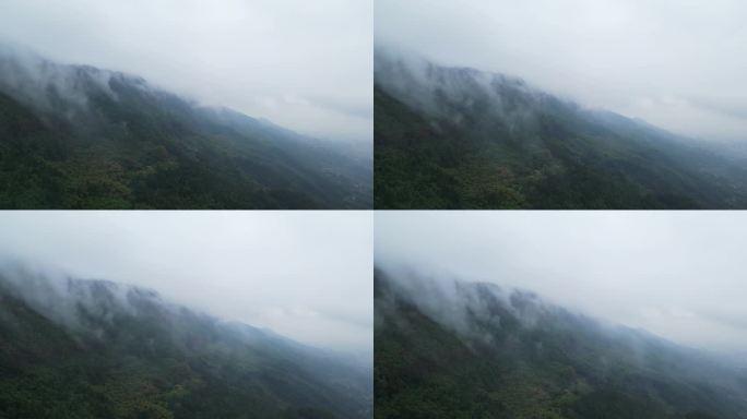 重庆山火后，北碚缙云山降雨，云雾缭绕航拍