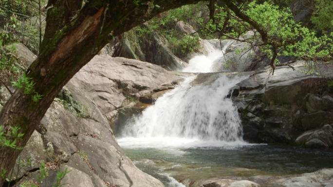 溪流 清泉 森林 石头 山间