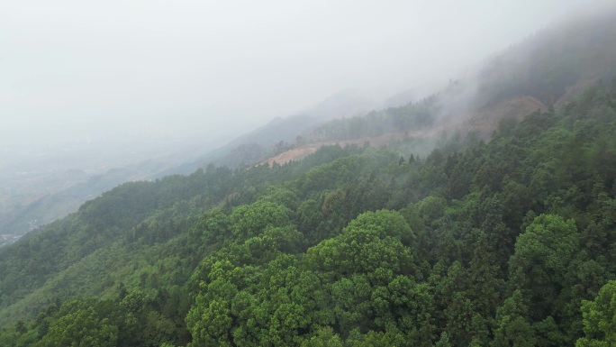 重庆山火后，北碚缙云山降雨，云雾缭绕航拍