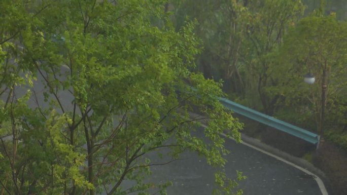 暴雨狂风肆虐 瓢泼大雨暴雨倾盆树枝摇摆