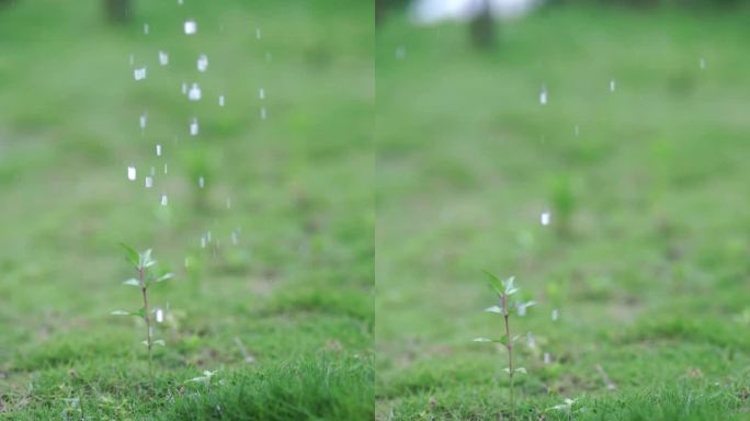 下雨淋湿草地