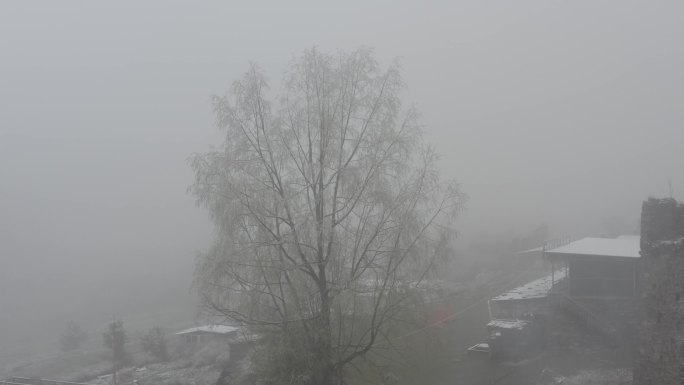 理县孟屯河谷雾凇雪景