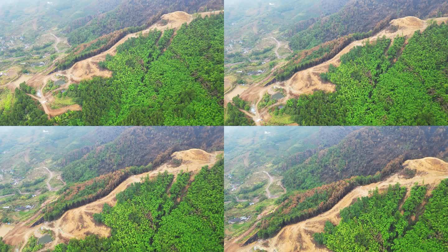 重庆山火后，北碚缙云山降雨，云雾缭绕航拍