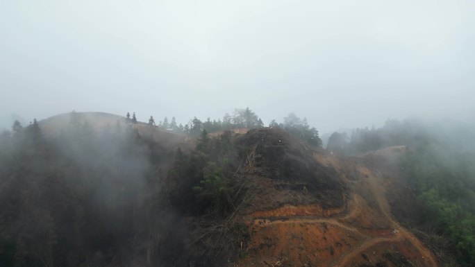 重庆山火后，北碚缙云山降雨，云雾缭绕航拍