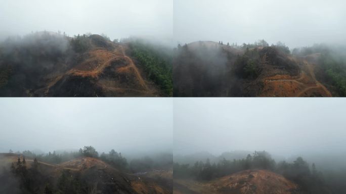 重庆山火后，北碚缙云山降雨，云雾缭绕航拍