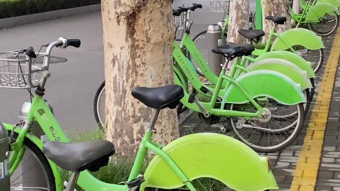 城市街头共享自行车