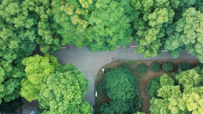 航拍大学校园里的林荫道与行人3