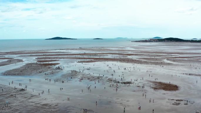 会场赶海上升 后退