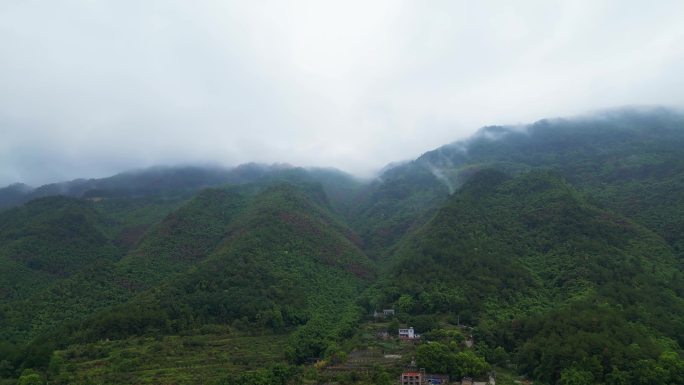 重庆山火后，北碚缙云山降雨，云雾缭绕航拍