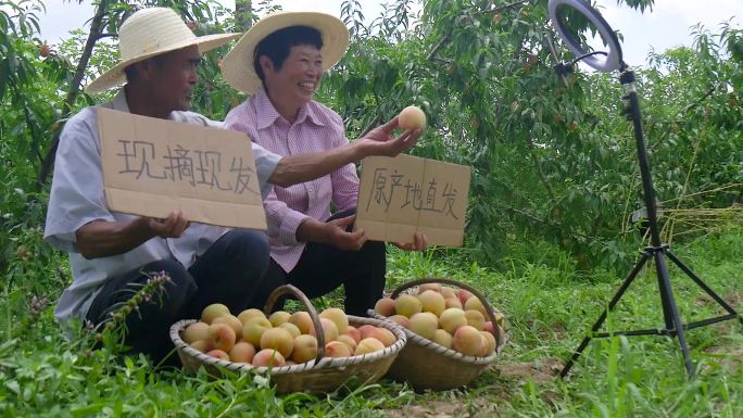 阳山水蜜桃