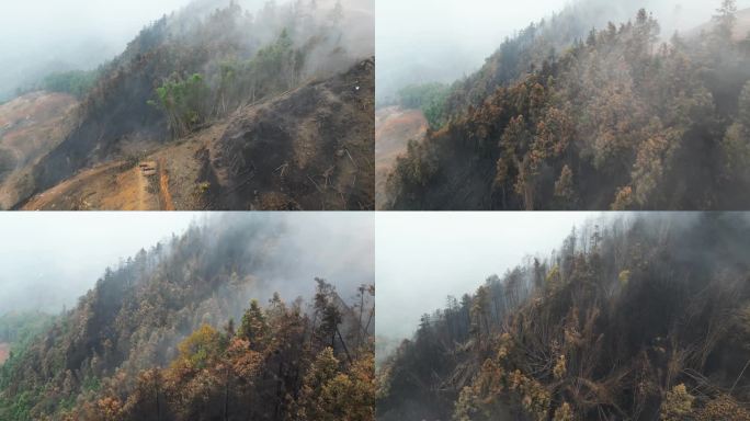 重庆山火后，北碚缙云山降雨，云雾缭绕航拍