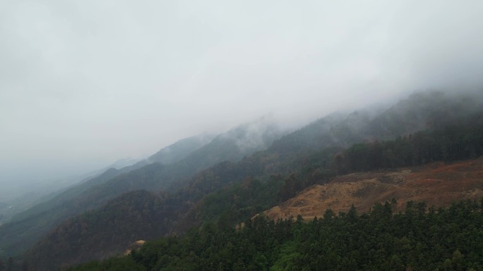 重庆山火后，北碚缙云山降雨，云雾缭绕航拍