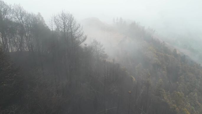 重庆山火后，北碚缙云山降雨，云雾缭绕航拍