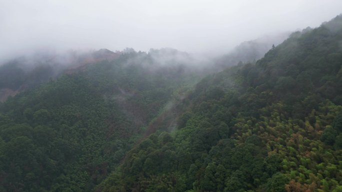 重庆山火后，北碚缙云山云雾缭绕航拍延时