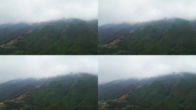 重庆山火后，北碚缙云山降雨，云雾缭绕航拍