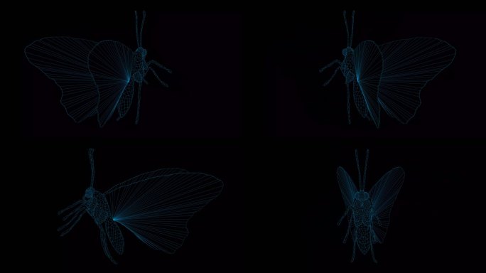 4K蓝色全息科技线框 动物蝴蝶素材带通道