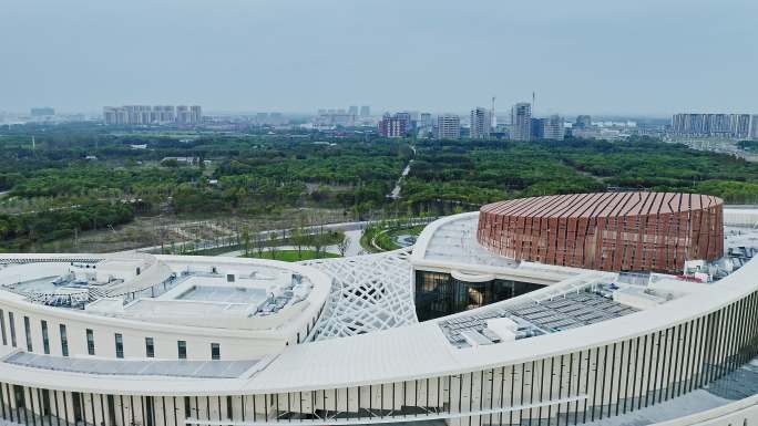 上海奉贤九棵树未来艺术中心