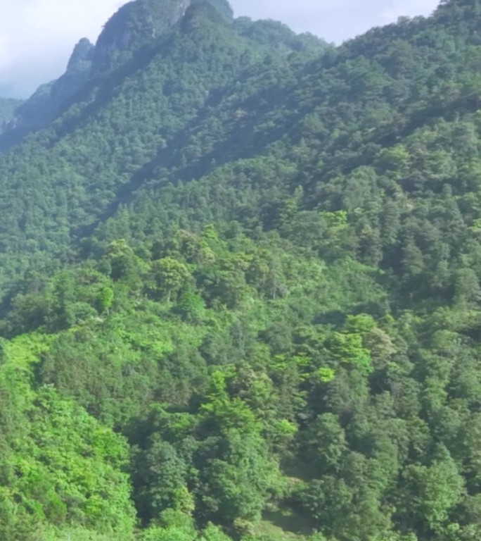 高清竖屏航拍远眺平南北帝山