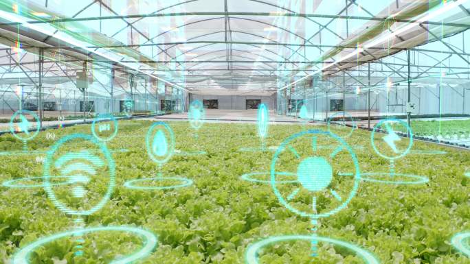 具有增强现实和虚拟现实界面的水耕农场、未来农业技术、智能农业概念、工业革命概念