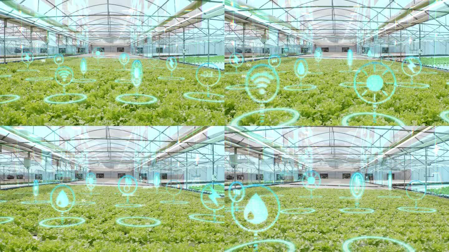 具有增强现实和虚拟现实界面的水耕农场、未来农业技术、智能农业概念、工业革命概念