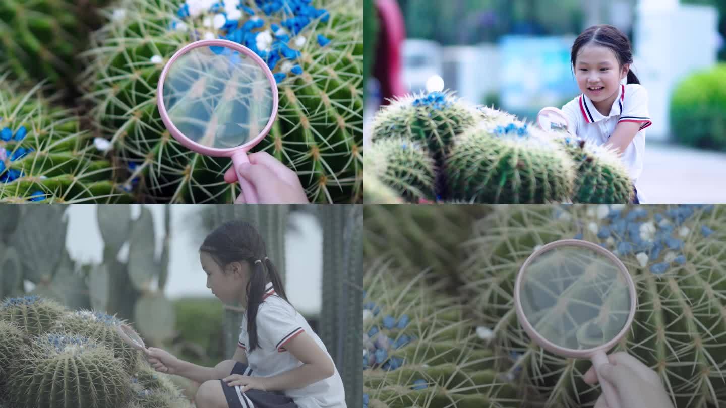小女孩放大镜观察仙人掌植物