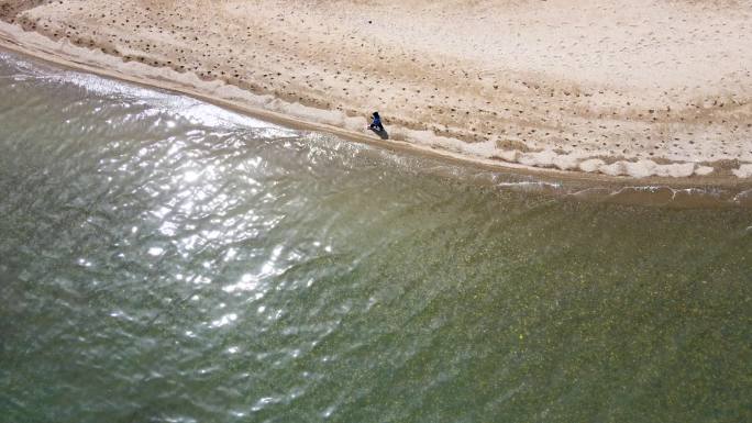 一个男人走在海边 波光粼粼的水面