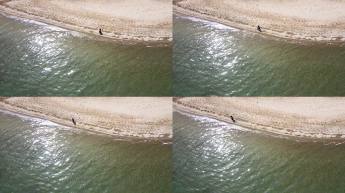 一个男人走在海边 波光粼粼的水面