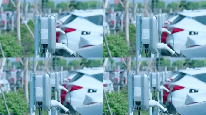 比亚迪新能源汽车 一排充电桩充电