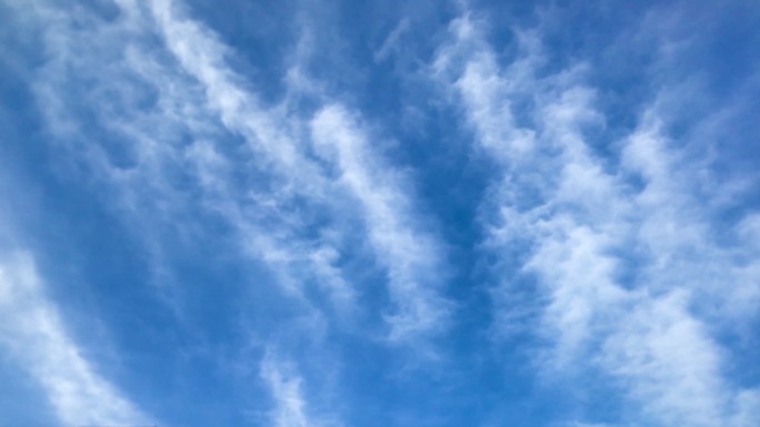 天空 群鸽 飞翔