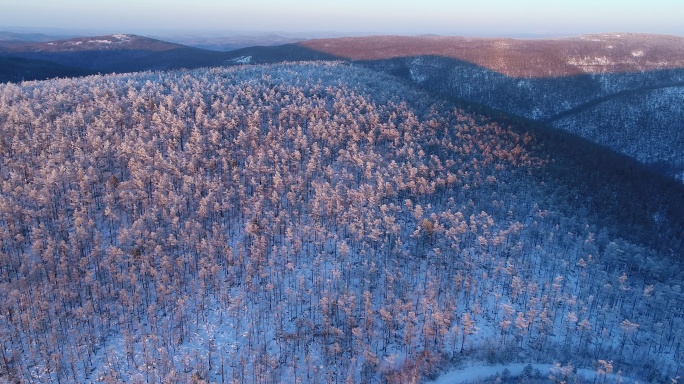 航拍大兴安岭林海雪原暮色