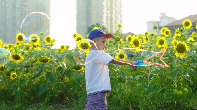 向日葵花海小男孩吹起大泡泡