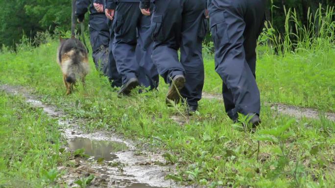 边防护林巡逻队警犬边境线