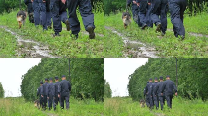 边防护林巡逻队警犬边境线